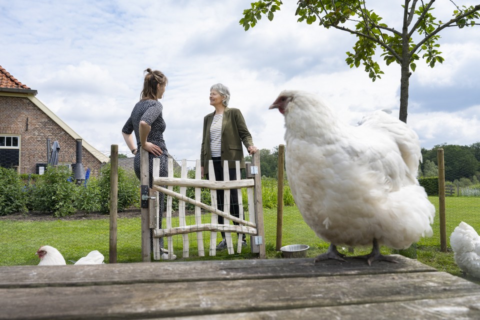 Agrarische training - voor teams in de agrarische sector en in het netwerk van de boer