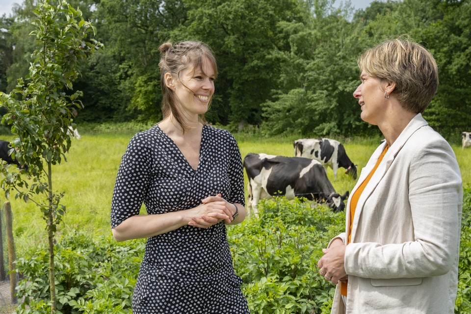 Agrarische training - voor adviseurs en professionals in de agrarische sector en in het netwerk van de boer