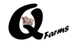 Workshops over personeelsmanagement voor Q-Farms Studieclub Zeugenhouders